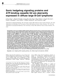 Sonic hedgehog signaling proteins and ATP-binding