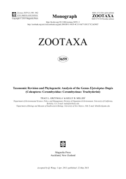 Taxonomic Revision and Phylogenetic Analysis of the Genus