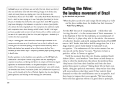 Cutting the Wire - We Are Everywhere