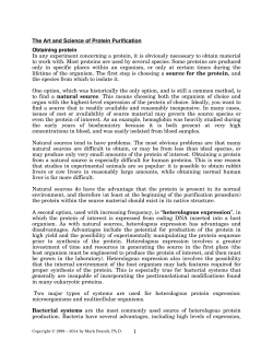 Protein Purification - Rose