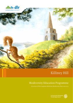 Killiney Hill - Dun Laoghaire Rathdown County Council