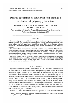 Delayed appearance of ectodermal cell death as a