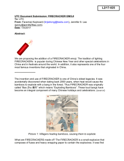 FIRECRACKER EMOJI To