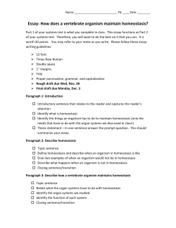 Essay: How does a vertebrate organism maintain homeostasis?