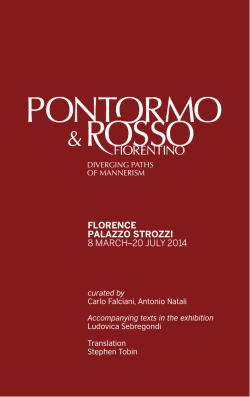 FLORENCE PaLazzO StROzzi 8 marCH&ndash;20 JULY 2014
