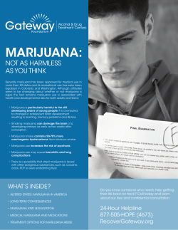 Marijuana Dangers Newsletter