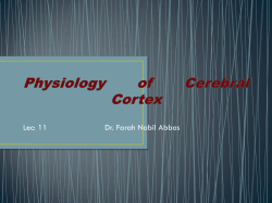 Physiology of Cerebral Cortex