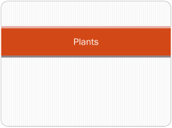 2.10: Photosynthesis