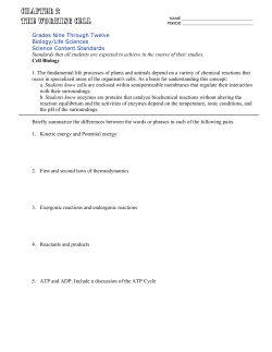 Ch. 5 Working Cell packet