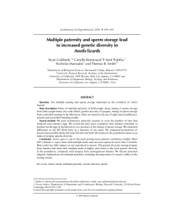 Multiple paternity and sperm storage lead to increased genetic
