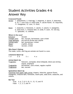 Student Activities Grades 4-6 Answer Key