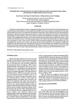 DISTRIBUTION AND HISTOLOGICAL STRUCTURE OF PEYER`S