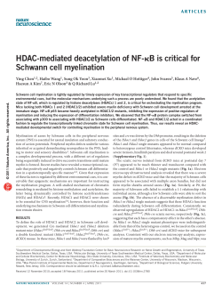 HDAC-mediated deacetylation of NF-&kappa;B is critical for Schwann cell
