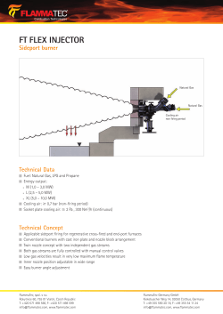 FT FLEX INJECTOR Sideport burner
