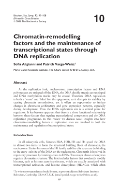 Chromatin‑remodelling factors and the maintenance of