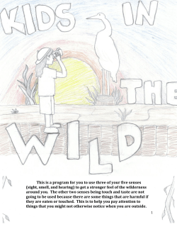 This is a program for you to use three of your five senses (sight