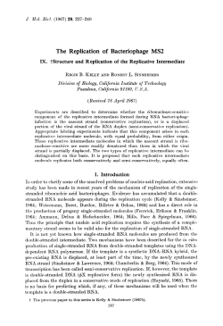 The Replication of Bacteriophage MS2