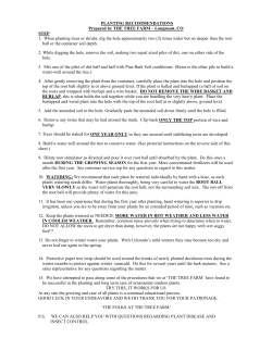 Planting Instructions