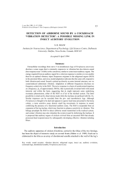 13 DETECTION OF AIRBORNE SOUND BY A COCKROACH