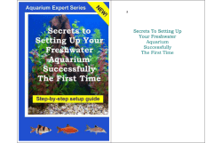 Secrets To Setting Up Your Freshwater Aquarium