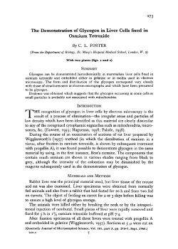 The Demonstration of Glycogen in Liver Cells fixed in Osmium
