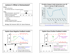 Lecture 3: What is Homeostasis?