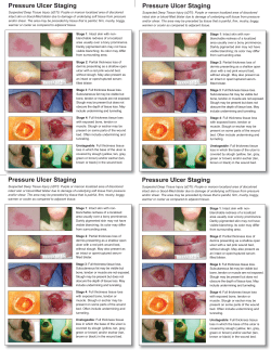 Pressure Ulcer Staging Cards and Skin Inspection Opportunities.indd