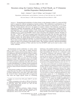 Structures along the Catalytic Pathway of PrmC