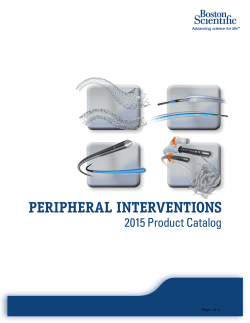2015 PI Product Catalog - Guidewires