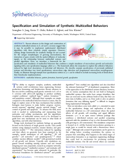 Specification and Simulation of Synthetic Multicelled Behaviors