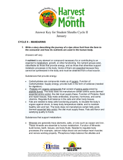 Answer Key for Student Sleuths Cycle II January