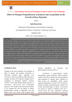 Effect of Nitrogen Fixing Bacteria Azotobacter and Azospirillum on