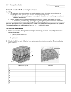 ch. 7 photosynthesis packet-2007