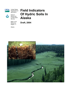 Alaska Hydric Soil Field Indicators