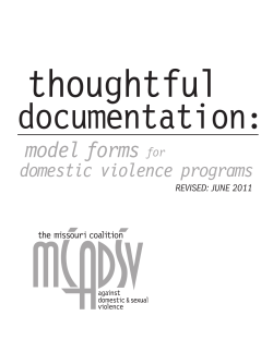Thoughtful Documentation: Model Forms for Domestic Violence