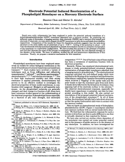 Electrode Potential Induced Reorientation of a Phospholipid