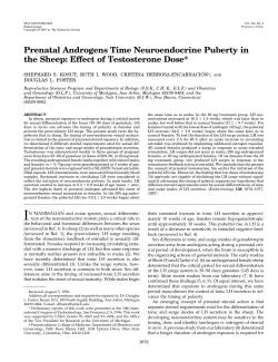 Prenatal Androgens Time Neuroendocrine Puberty in the Sheep