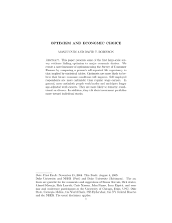 optimism and economic choice