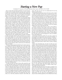Carpenteri_Stephen_New_Pup PDF DOWNLOAD