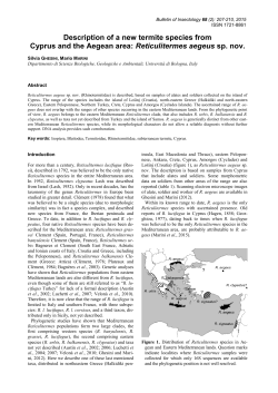 Reticulitermes aegeus sp. nov.