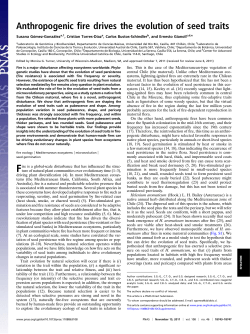 Anthropogenic fire drives the evolution of seed traits