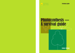Photosynthesis &mdash; A survival guide