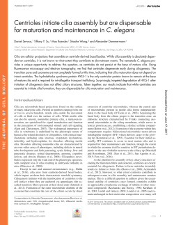 Centrioles initiate cilia assembly but are dispensable for maturation