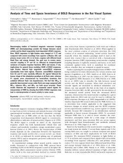 Analysis of Time and Space Invariance of BOLD