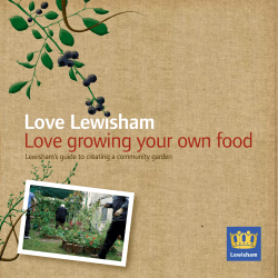 Lewisham`s guide to creating a community garden