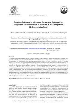 Reaction Pathways in n-Pentane Conversion Catalyzed by