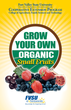 GROW YOUR OWN - Fort Valley State University