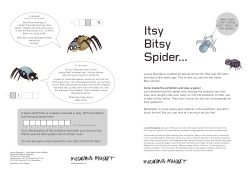 Itsy Bitsy Spider