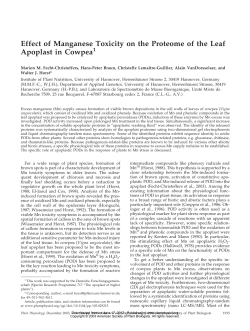 Effect of Manganese Toxicity on the Proteome of