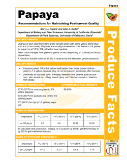 Papaya PDF - Postharvest Technology Center